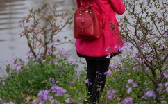 剧烈运动扑克免费网站